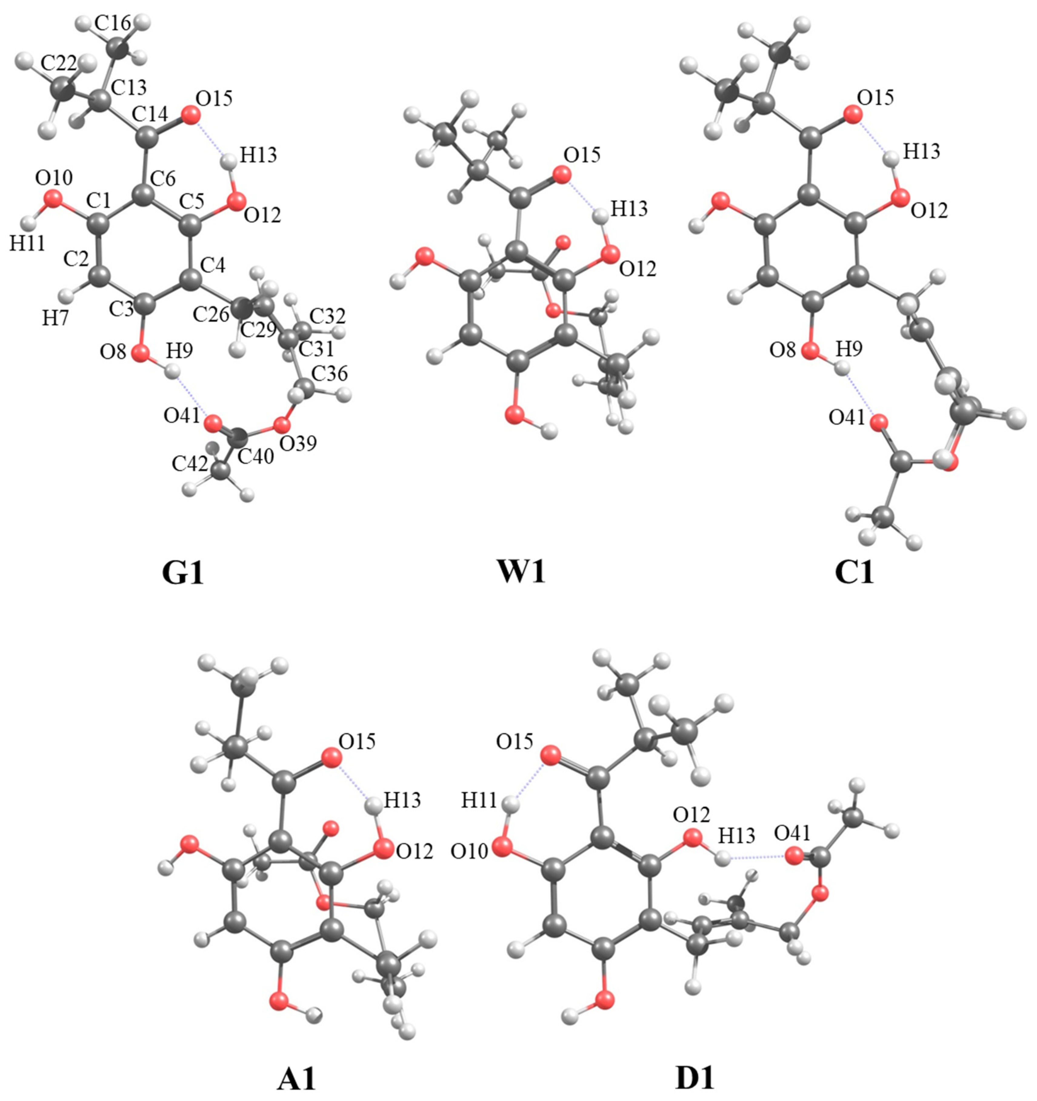 Computation 12 00005 g001