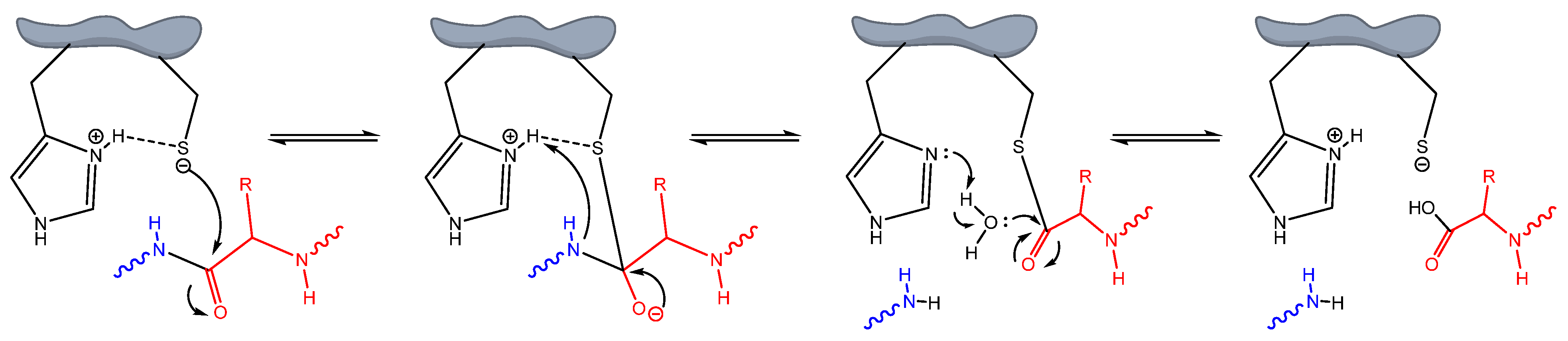 Computation 12 00018 g002