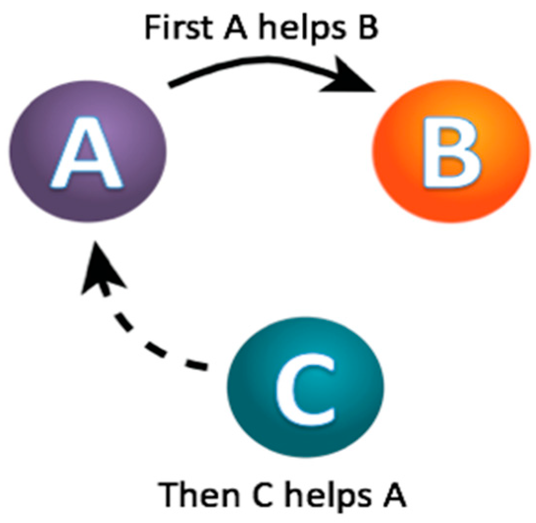 Computation 12 00020 g001