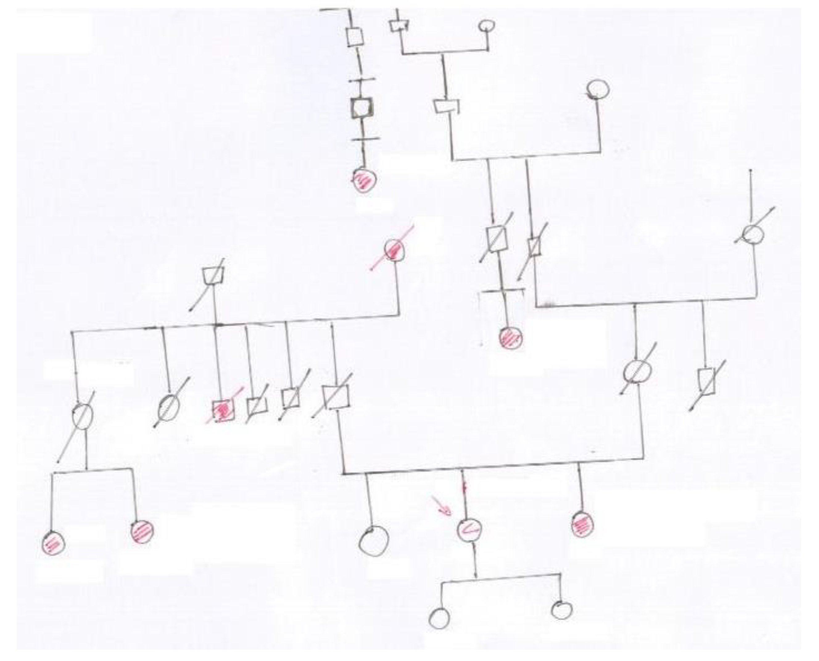 Computation 12 00047 g001