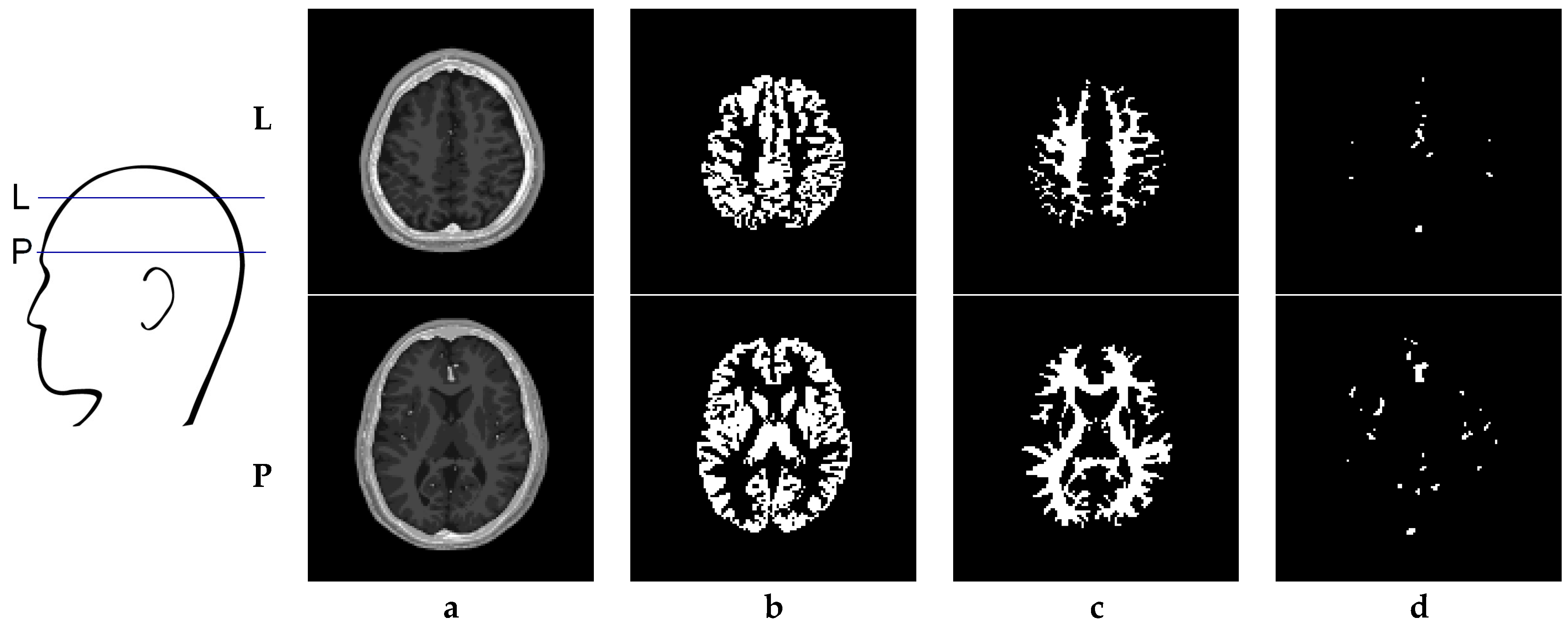 Computation 12 00054 g004