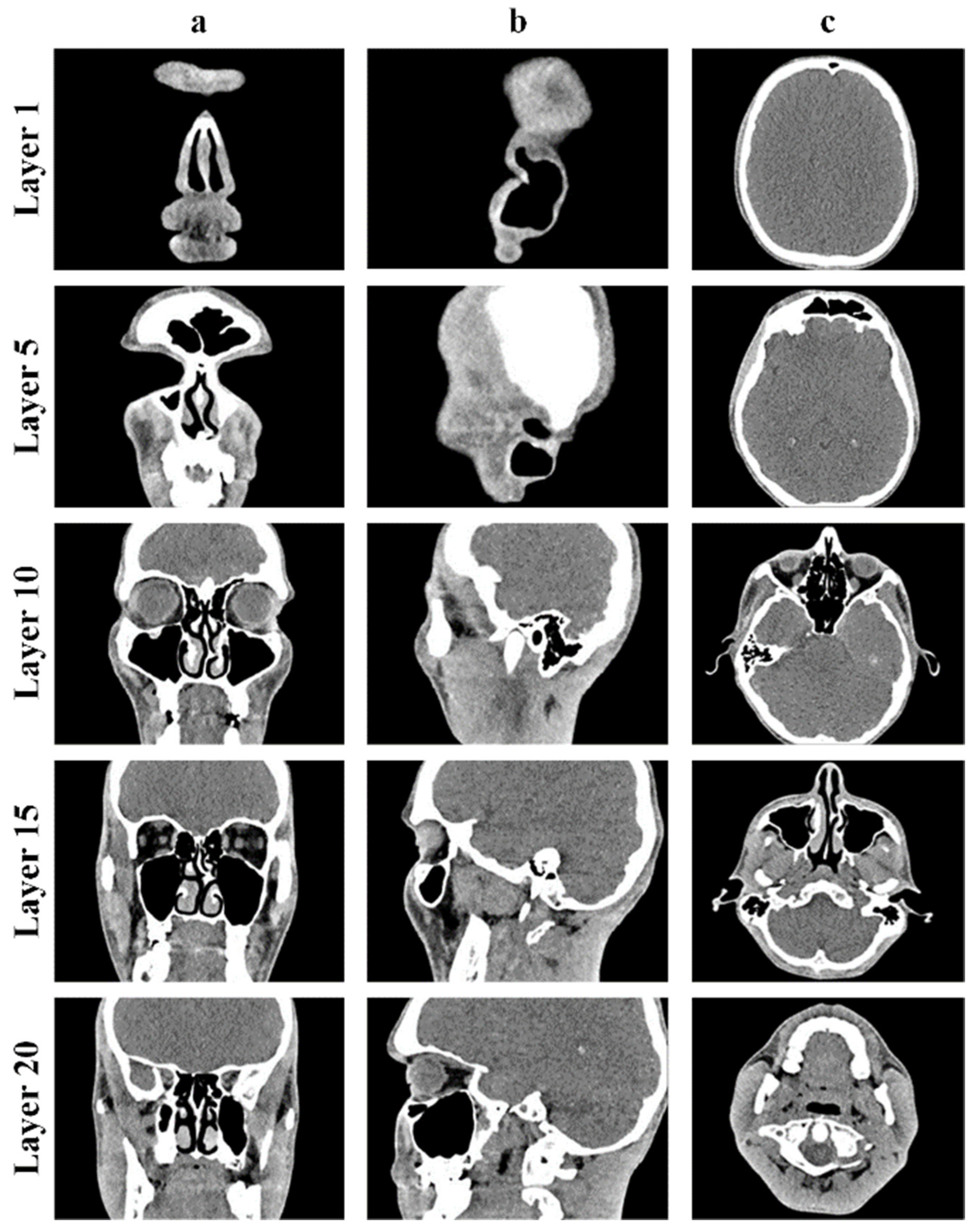 Computation 12 00134 g001