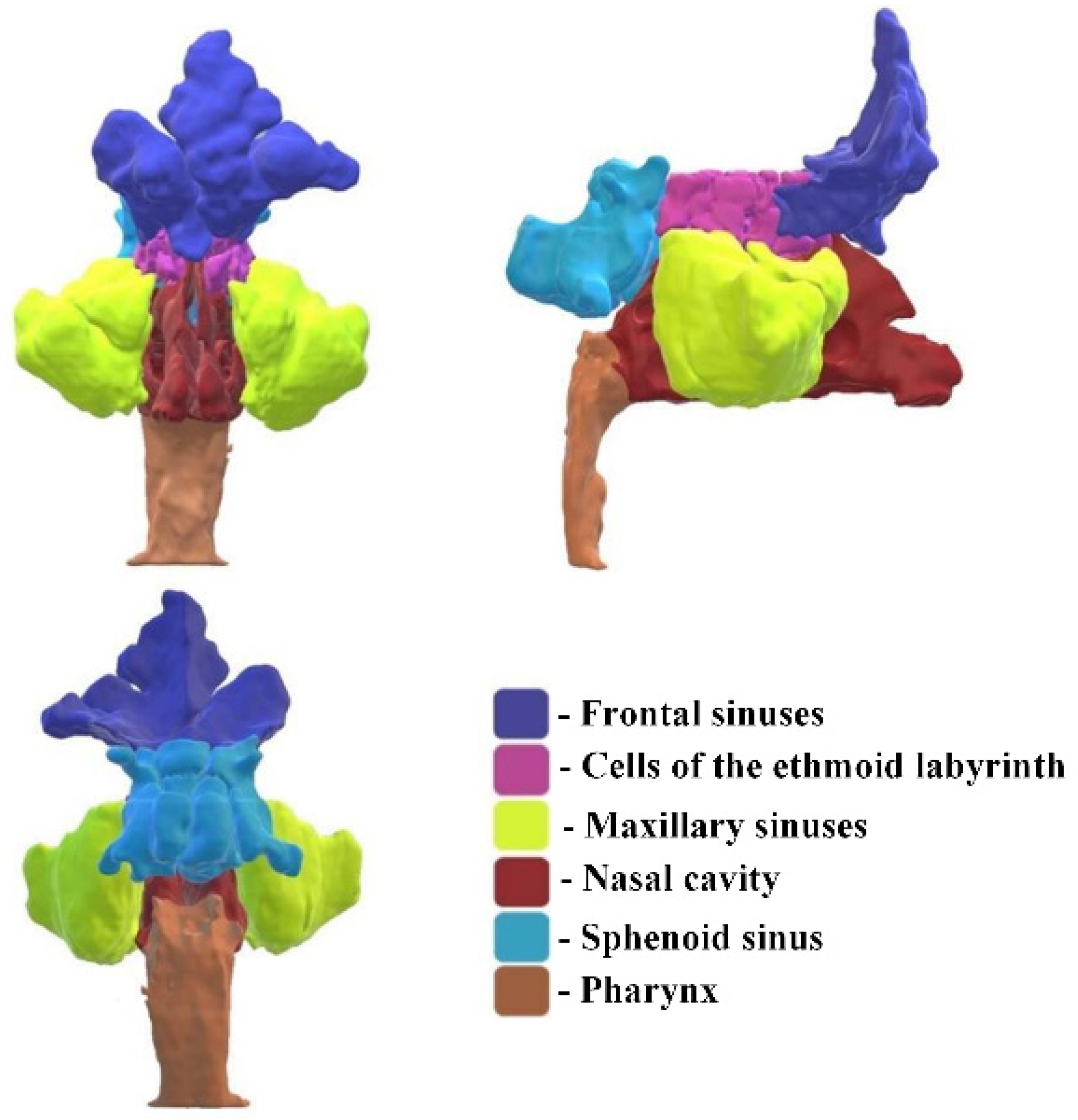 Computation 12 00134 g005
