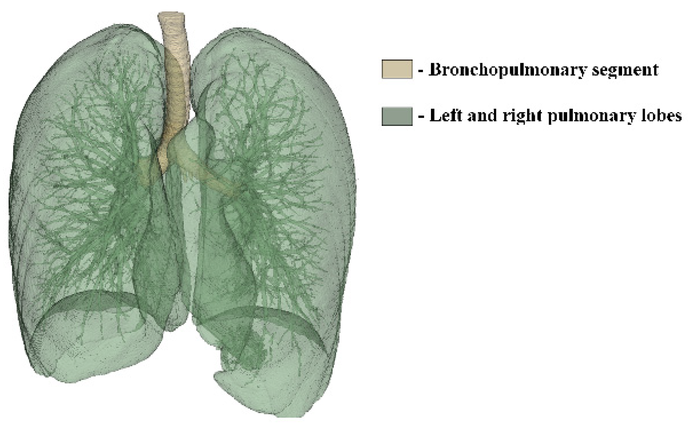 Computation 12 00134 g006