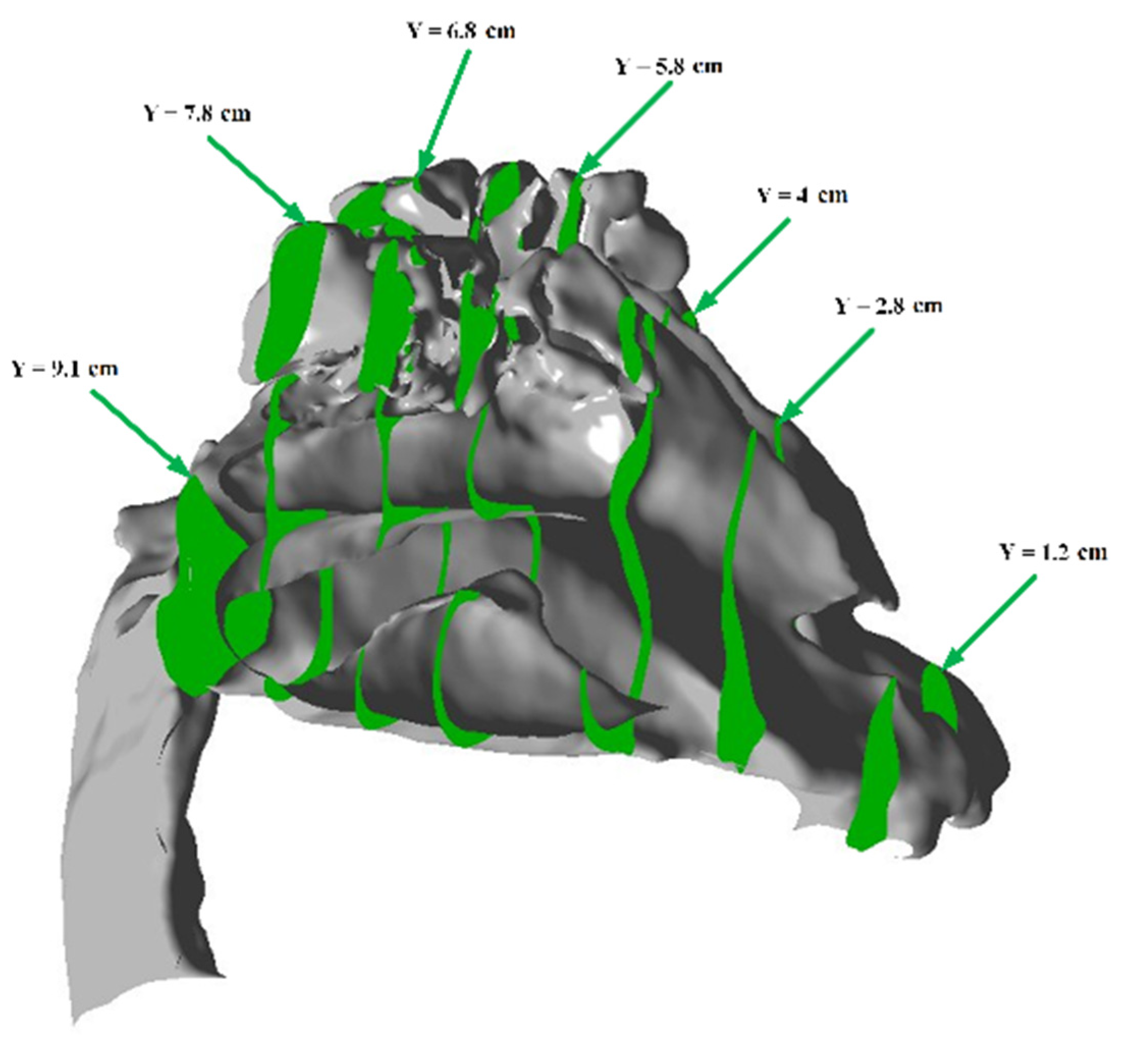 Computation 12 00134 g012