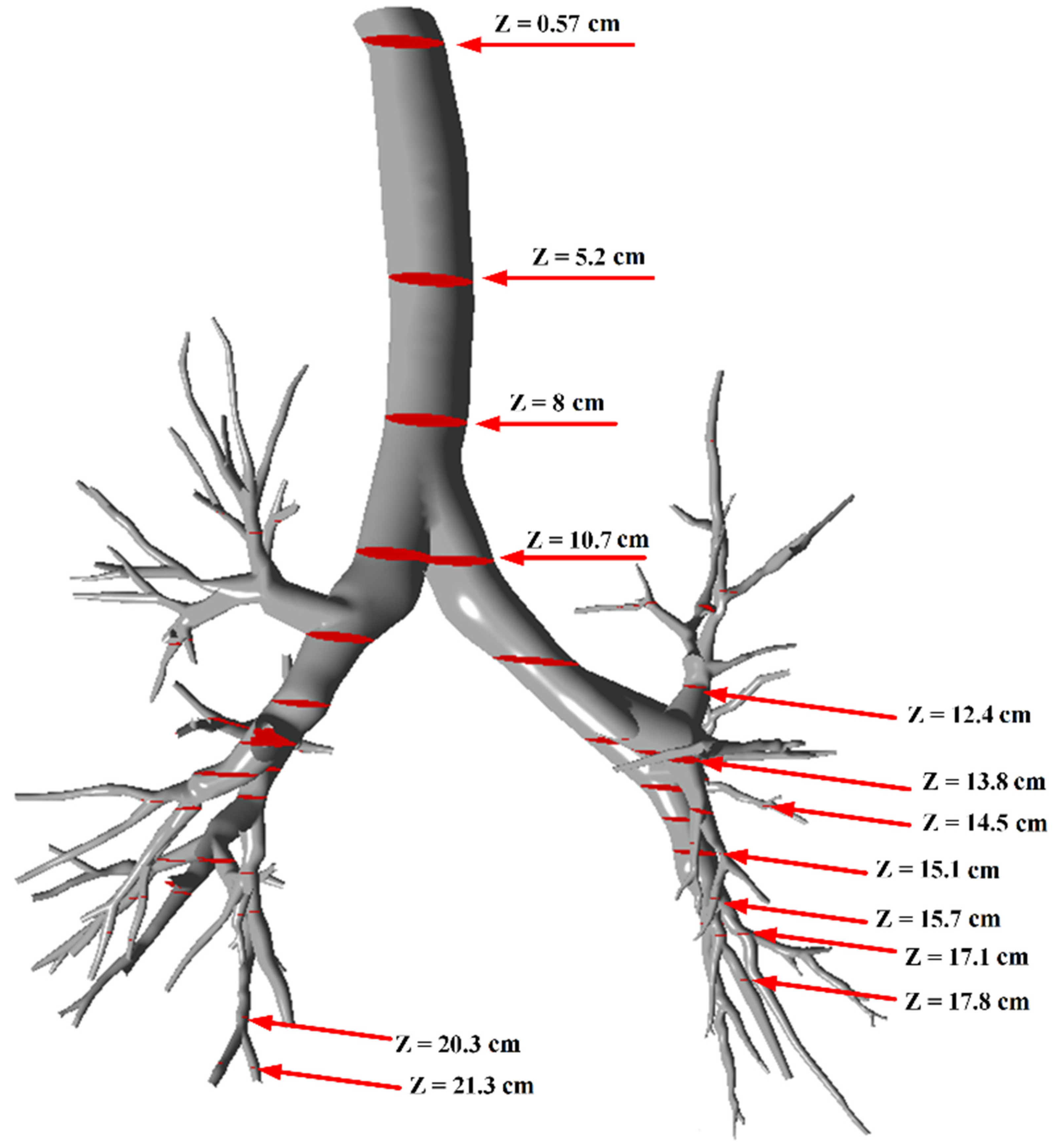 Computation 12 00134 g016