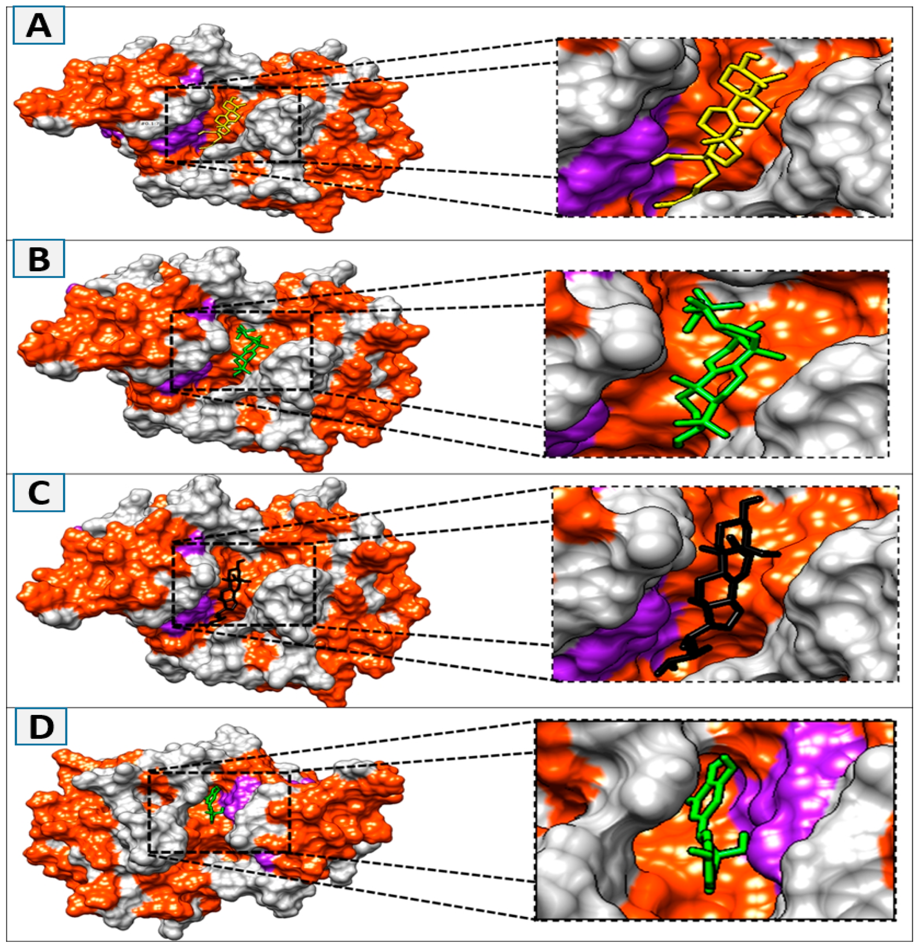 Computation 12 00153 g003