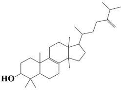 Computation 12 00153 i002