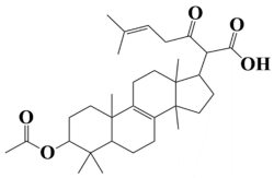 Computation 12 00153 i004