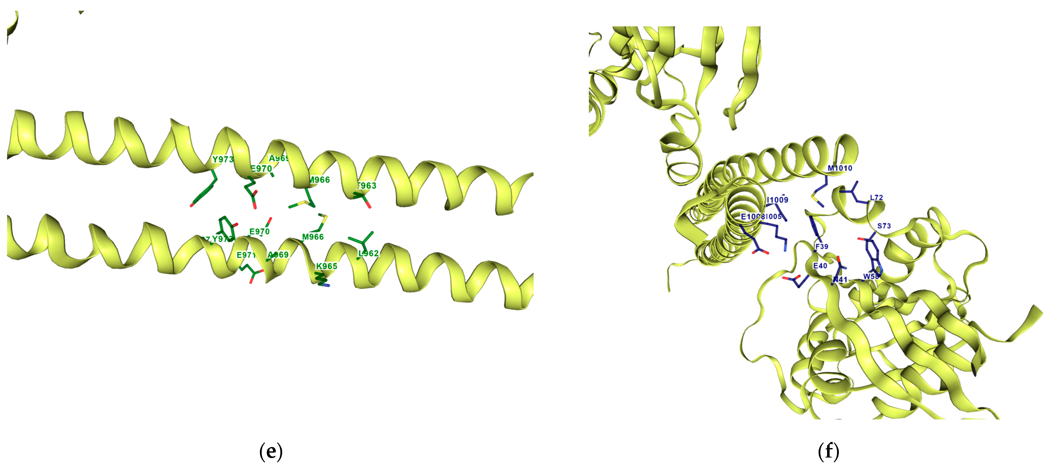 Computation 12 00175 g008b