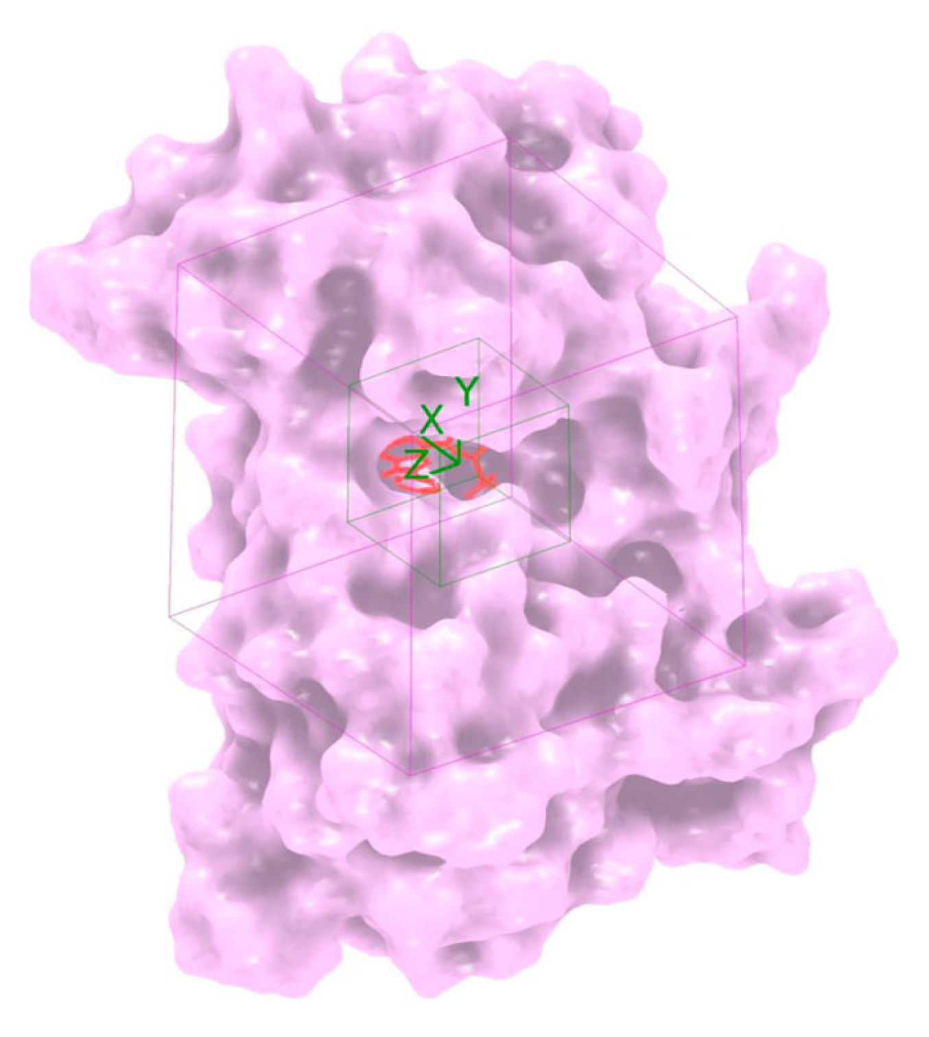 Computation 12 00222 g002