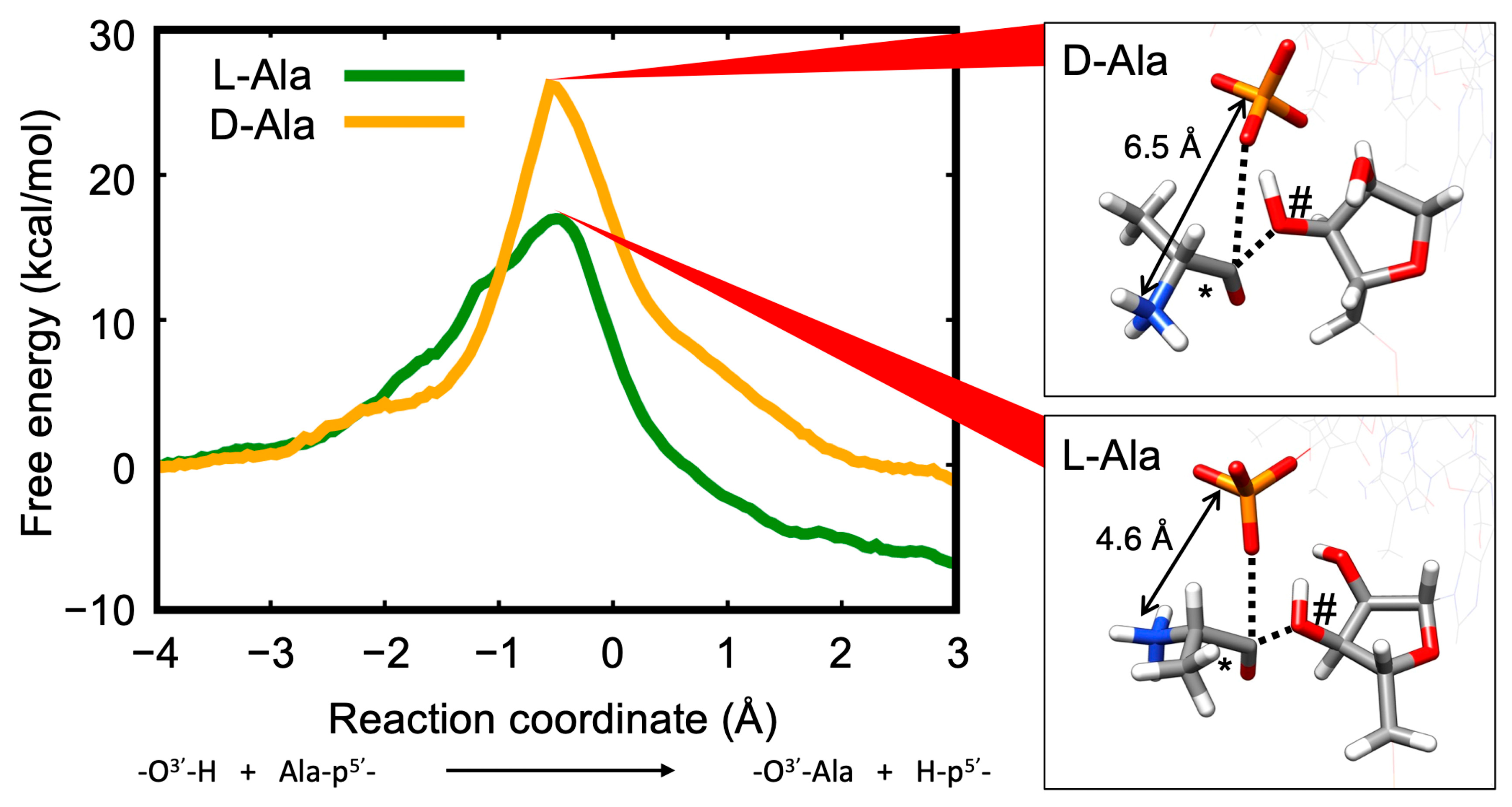 Computation 12 00238 g007