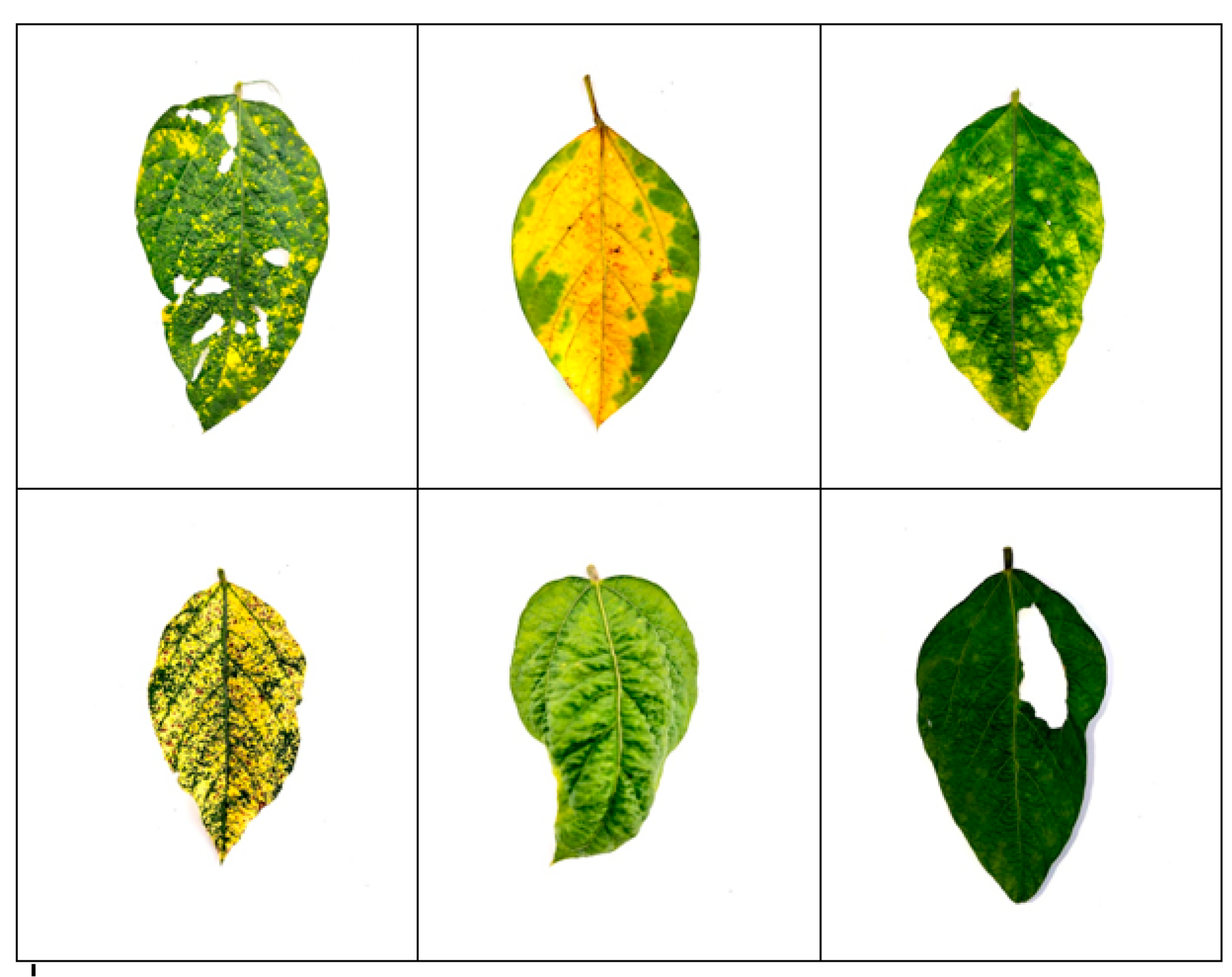 Computation 13 00004 g006