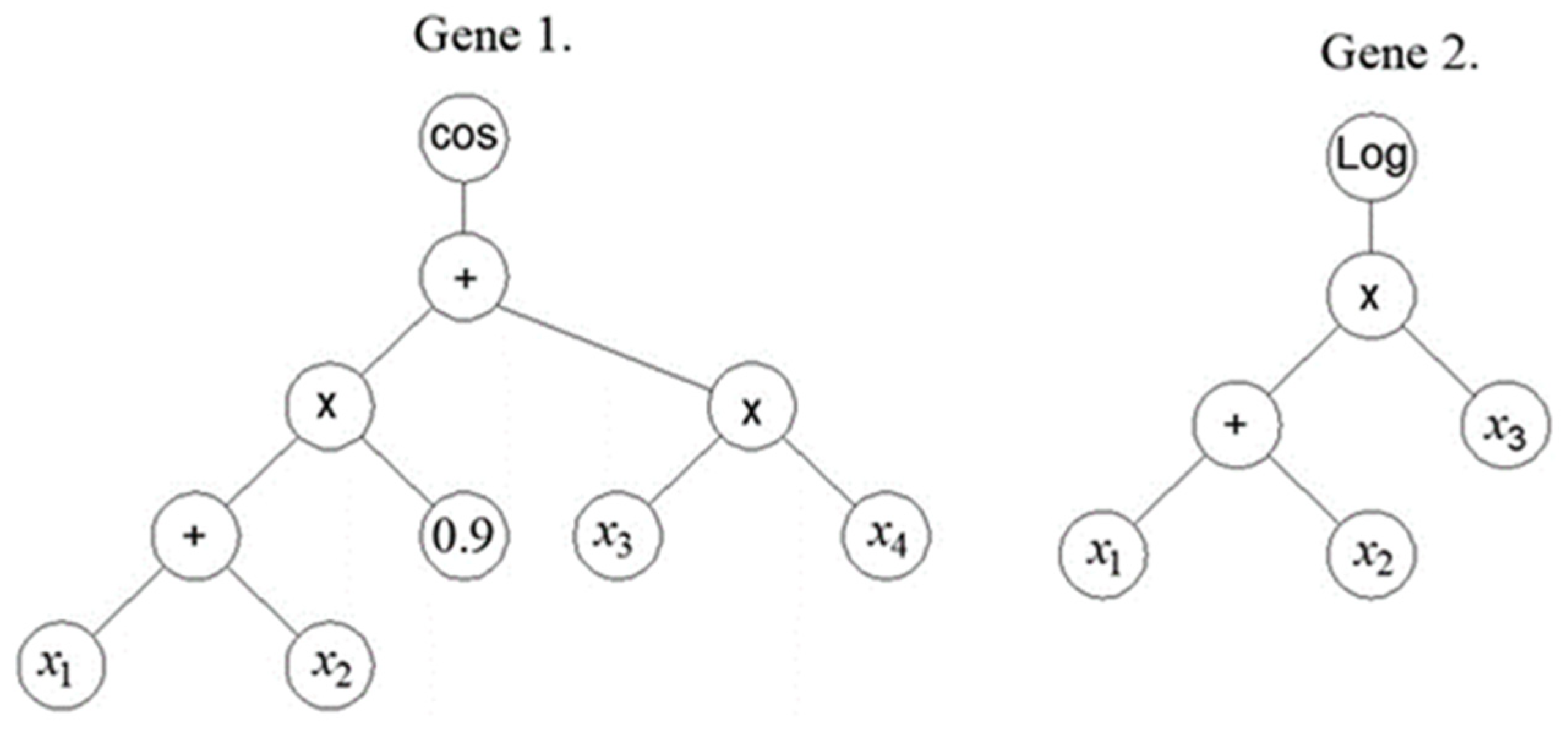 Computation 13 00017 g001