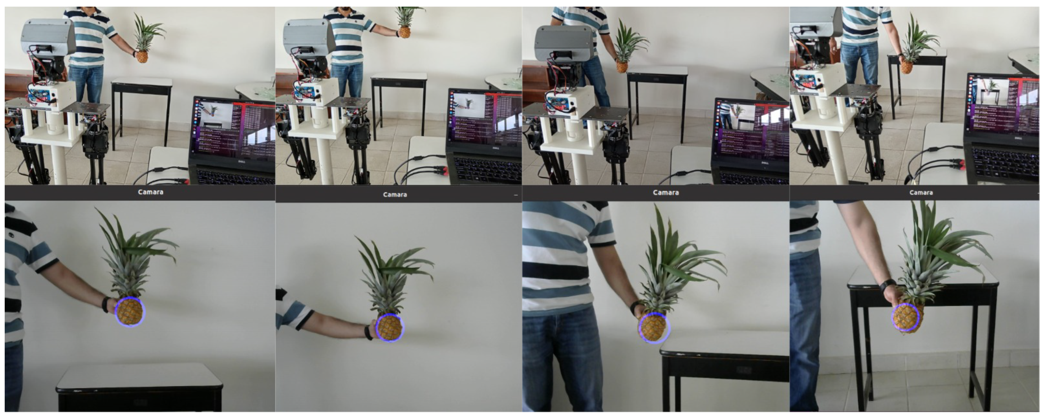 Computation 13 00069 g020