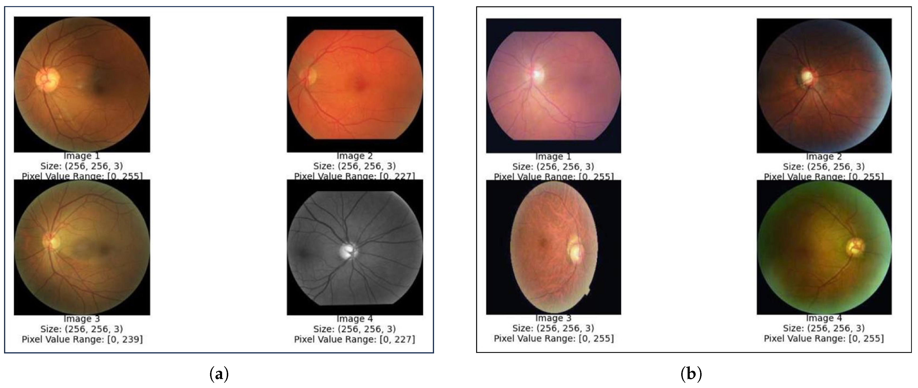 Computation 13 00091 g003