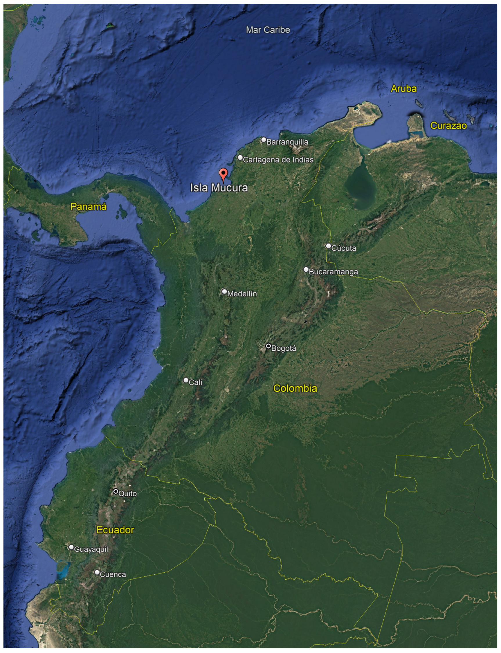 Computation 13 00114 g005