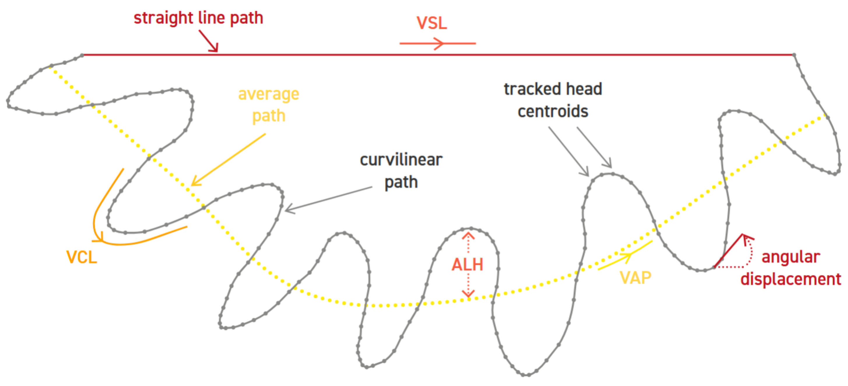 Computation 13 00132 g002