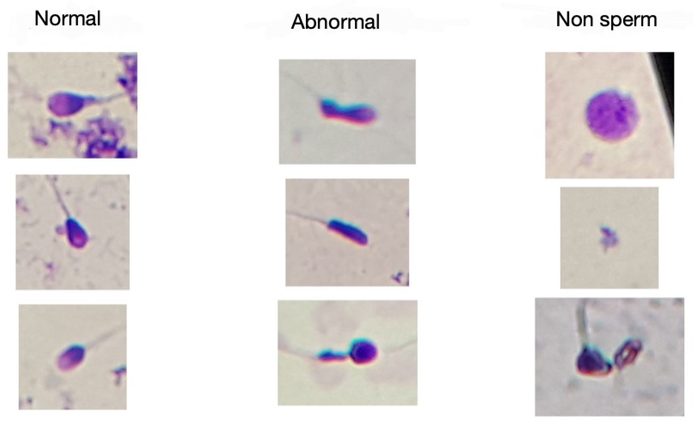 Computation 13 00132 g005