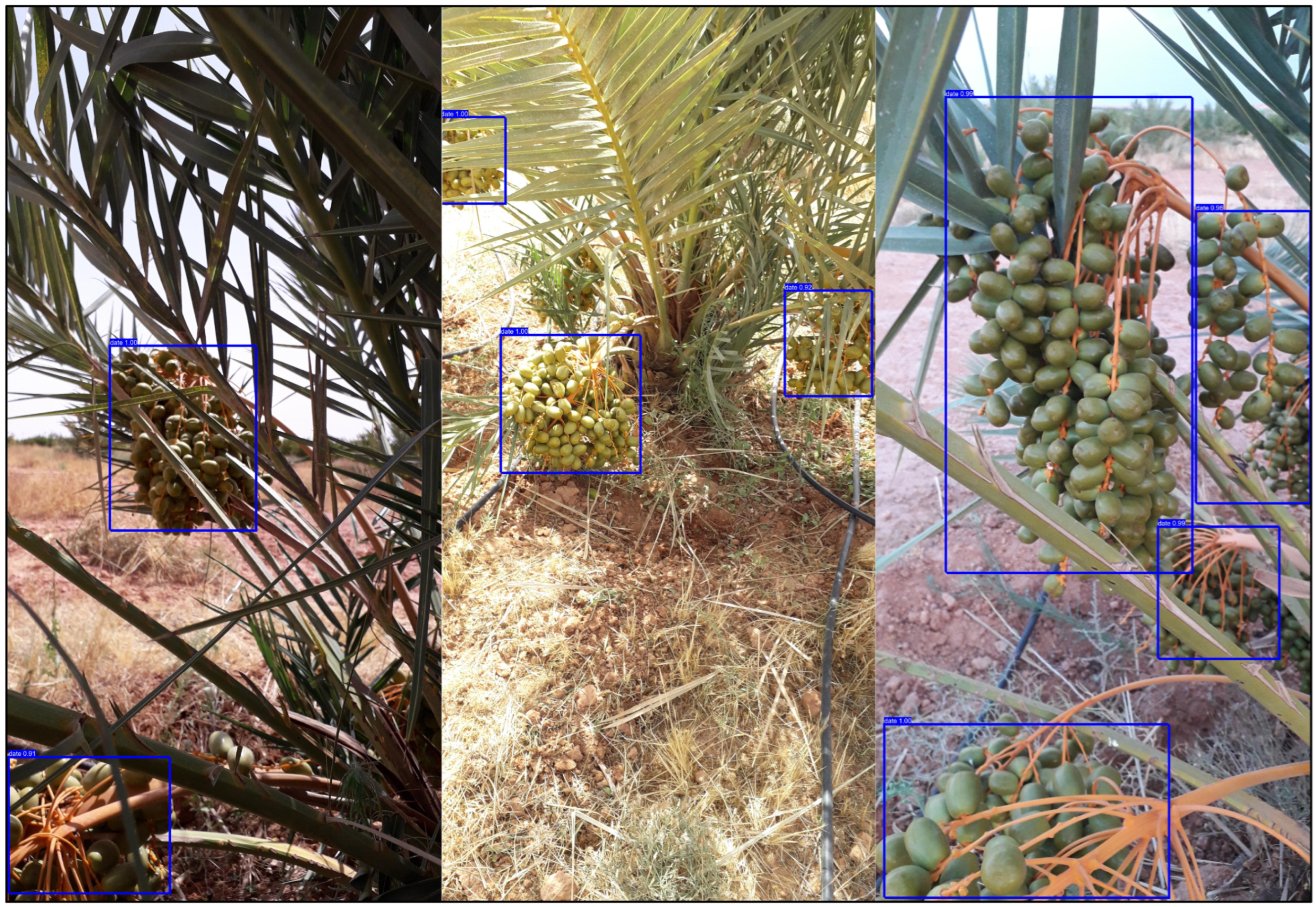 Computation 13 00149 g007