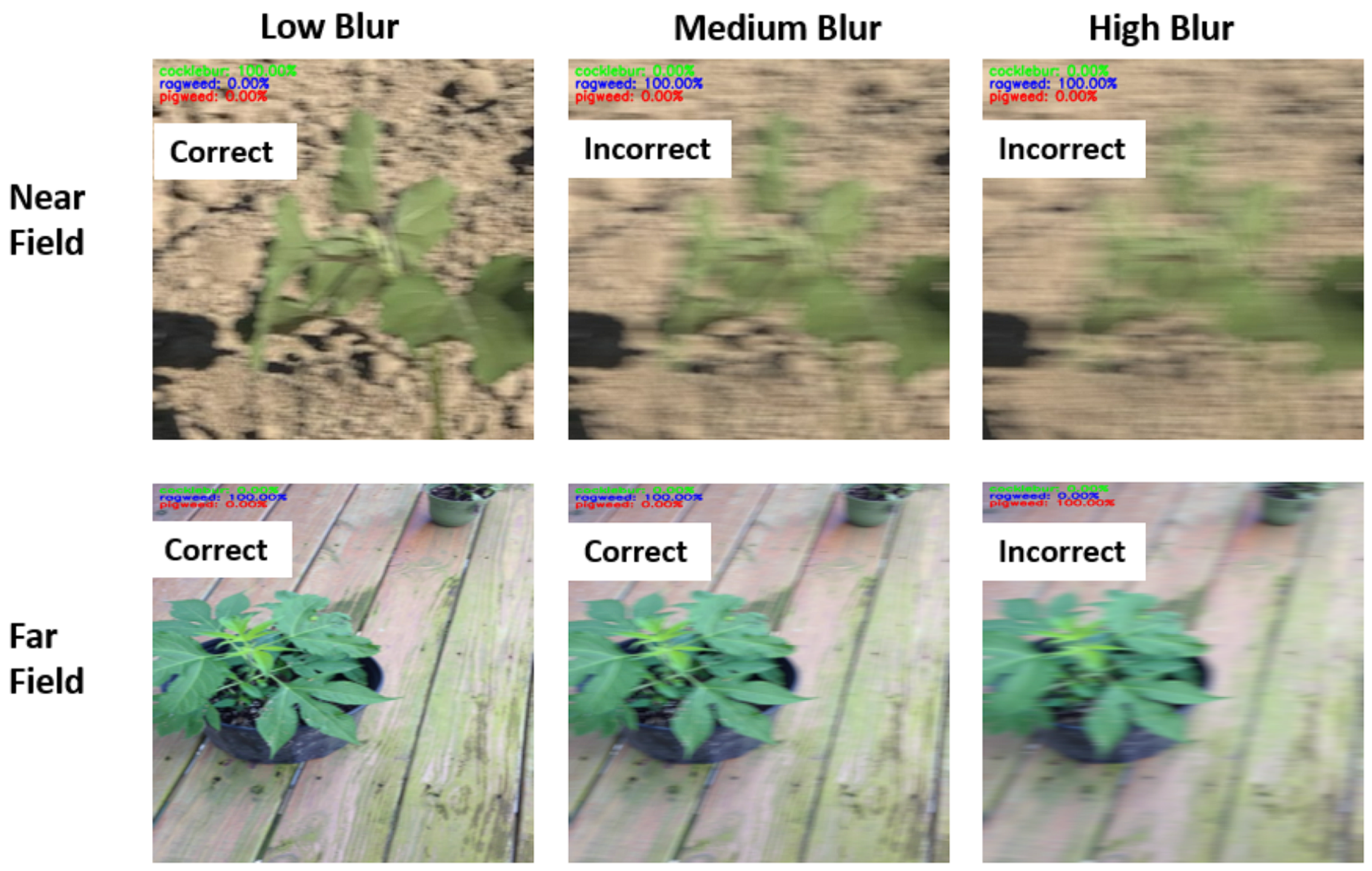 Computation 13 00174 g012