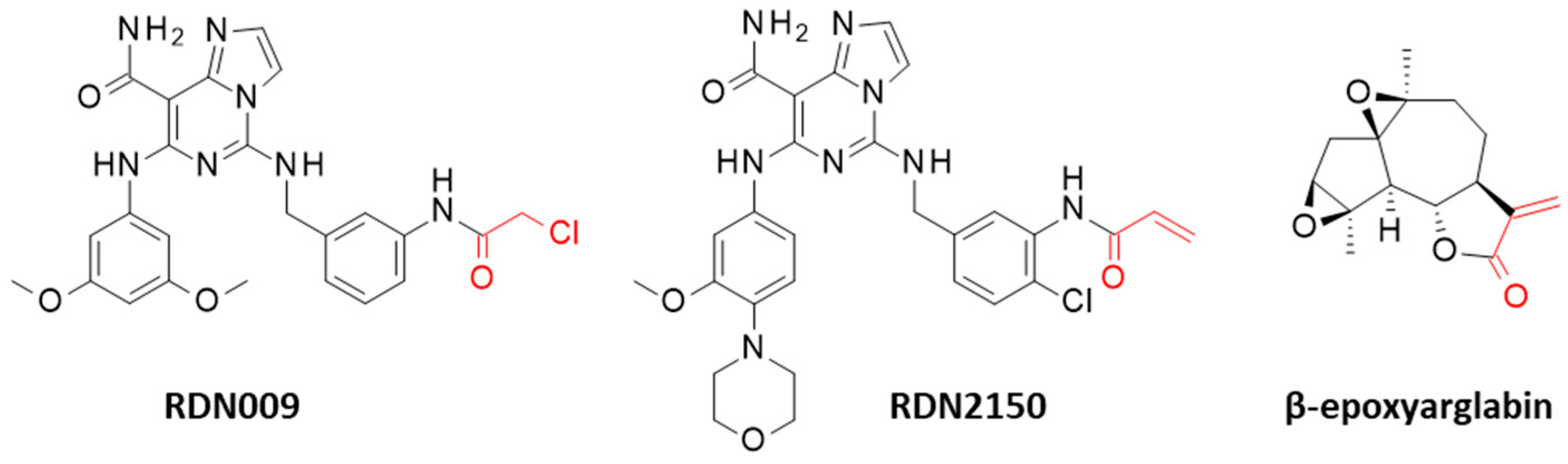 Computation 13 00207 g001 Computation 13 00207 g001