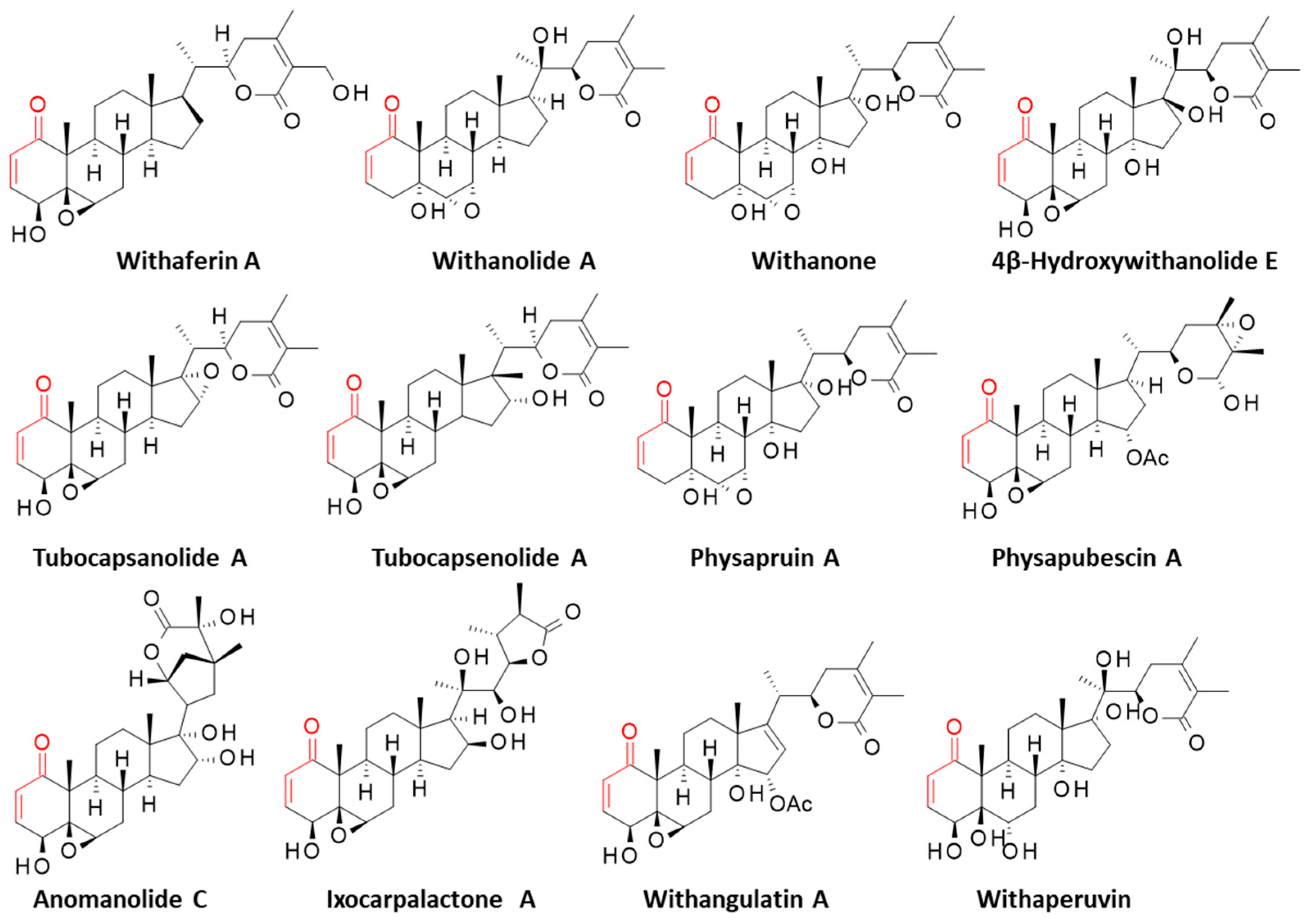 Computation 13 00207 g002 Computation 13 00207 g002