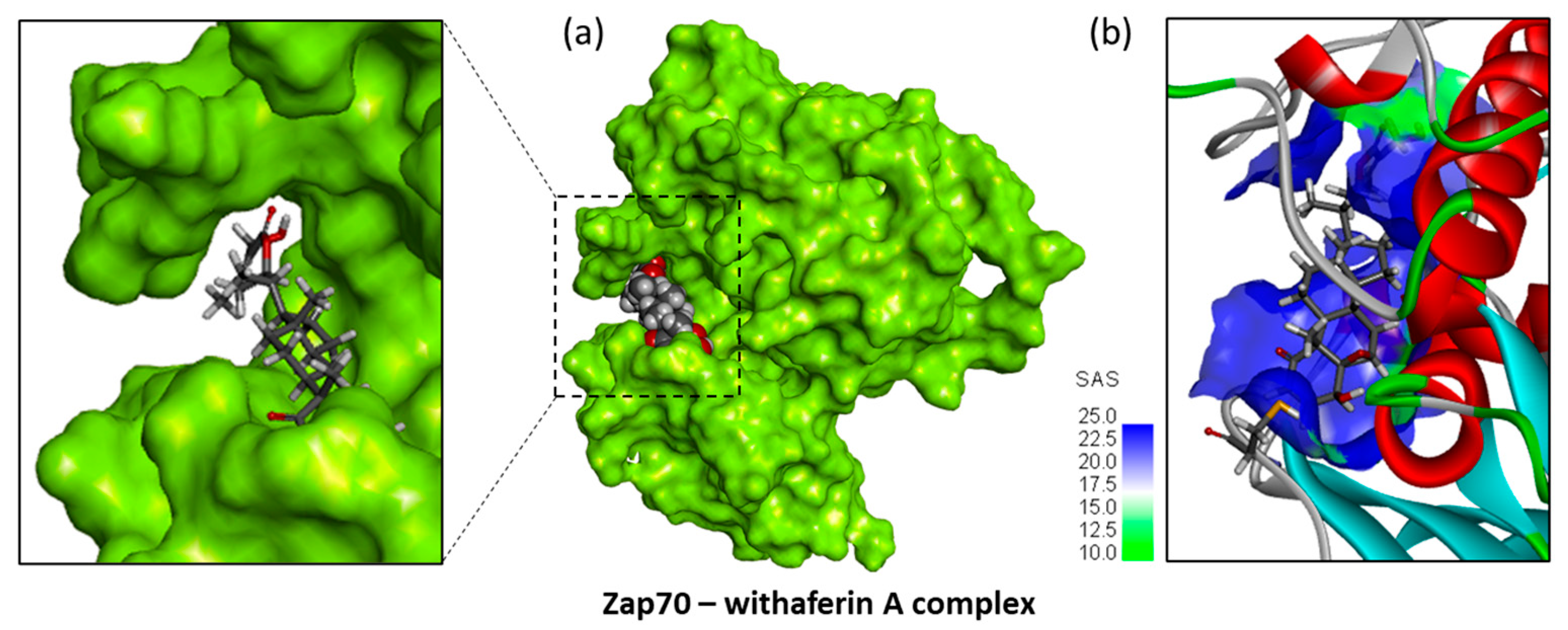 Computation 13 00207 g005 Computation 13 00207 g005