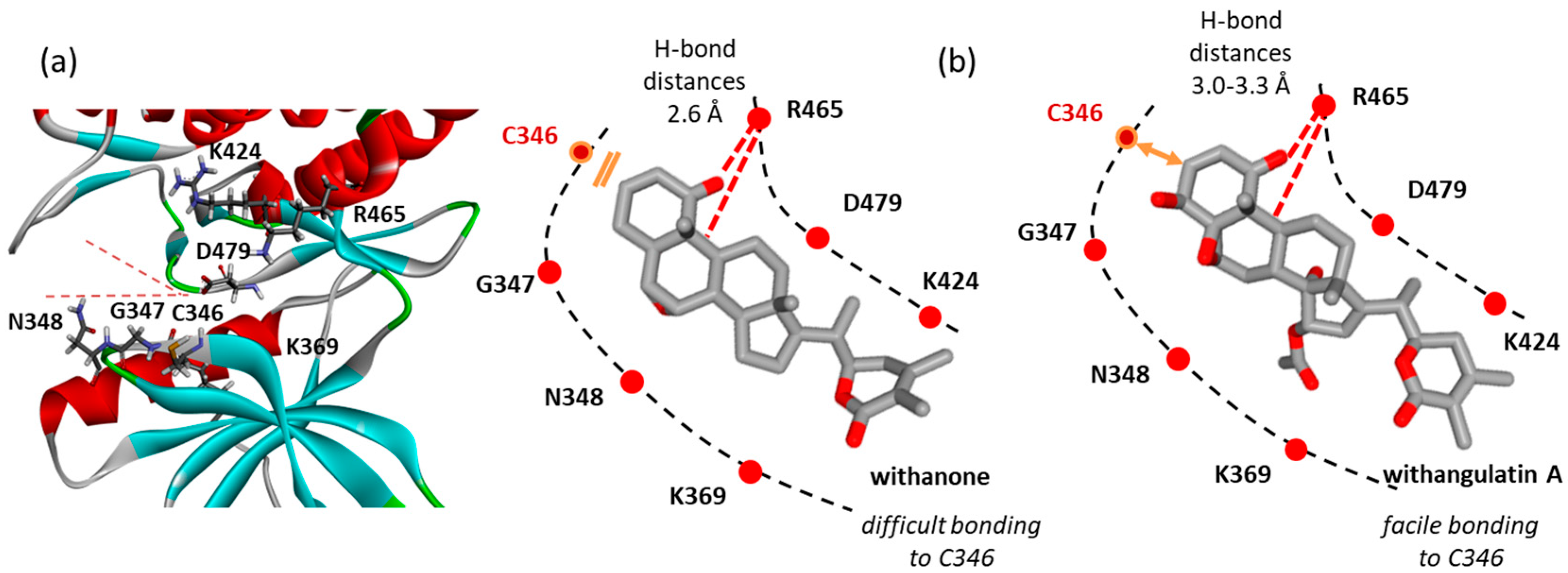 Computation 13 00207 g008 Computation 13 00207 g008