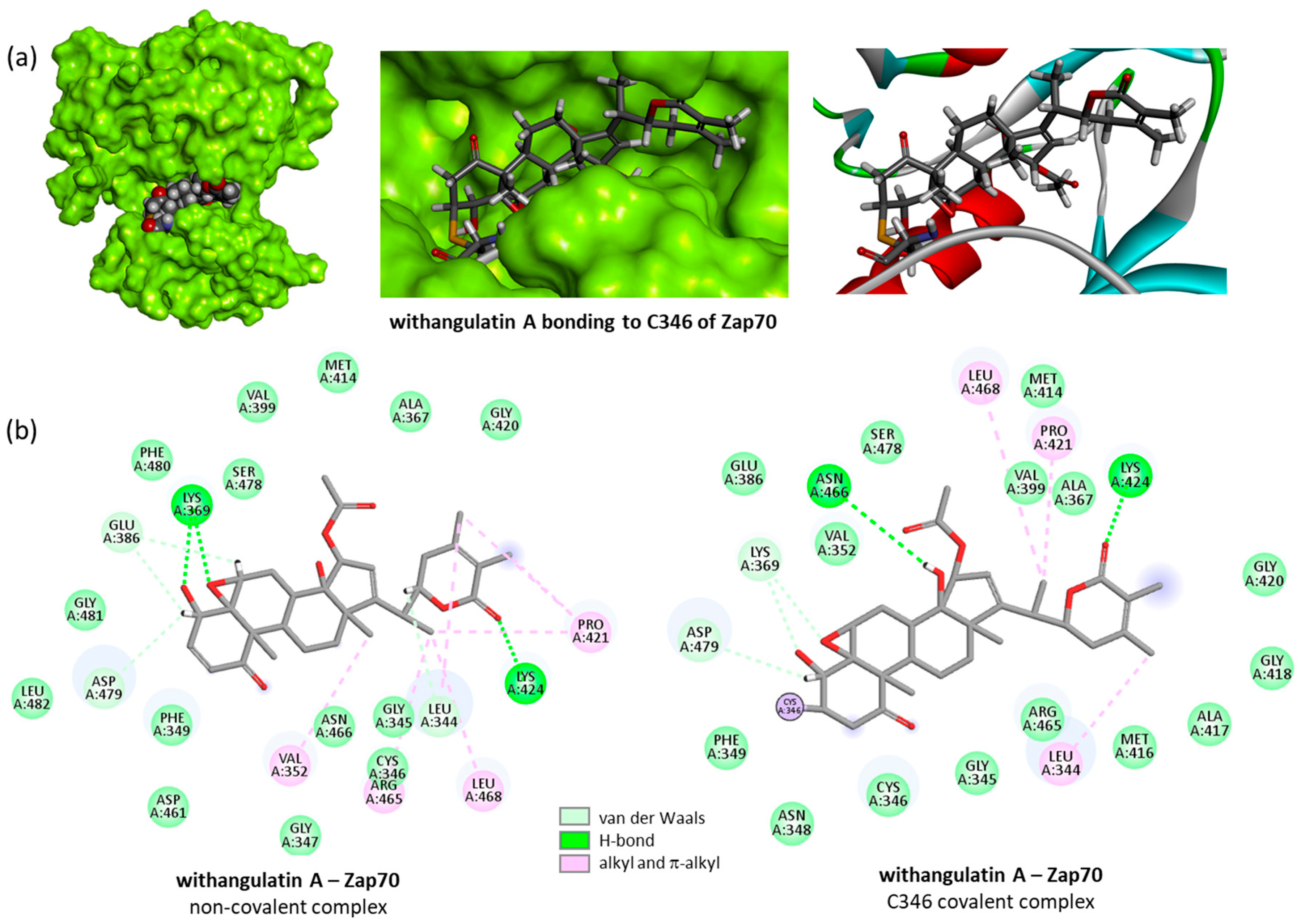 Computation 13 00207 g009 Computation 13 00207 g009