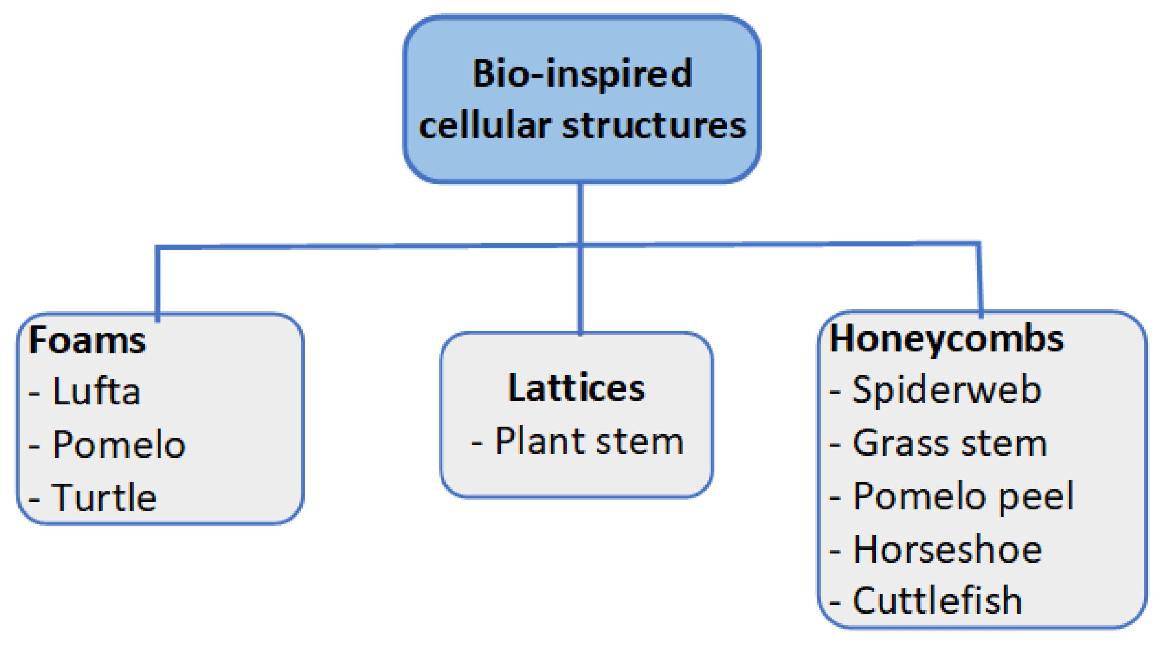 Computation 13 00217 g004