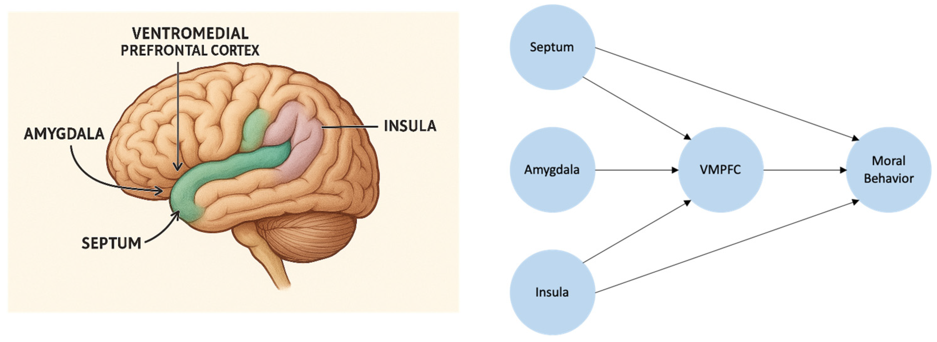 Computation 14 00040 g002
