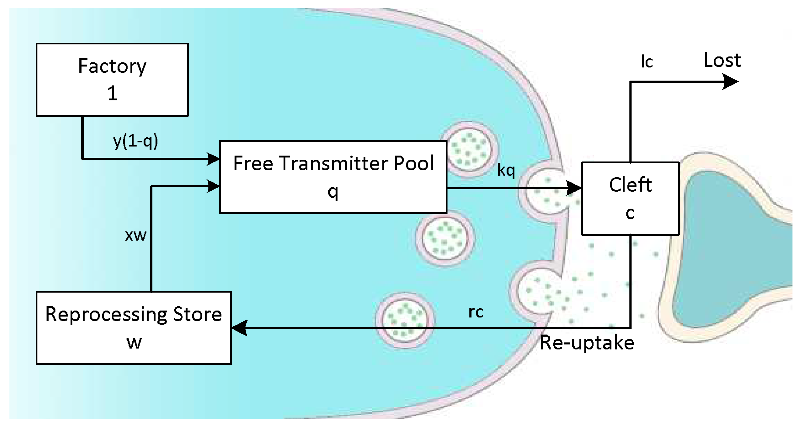 Computers 08 00005 g003