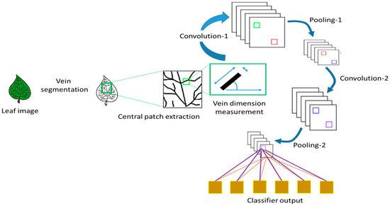 Review on Techniques for Plant Leaf Classification and Recognition