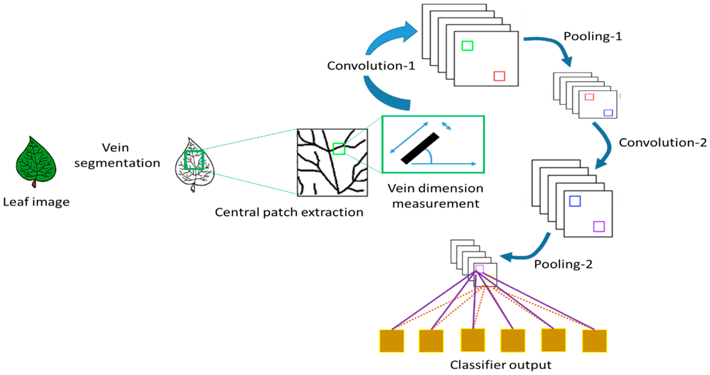 Steam and leaf diagram что это фото 99