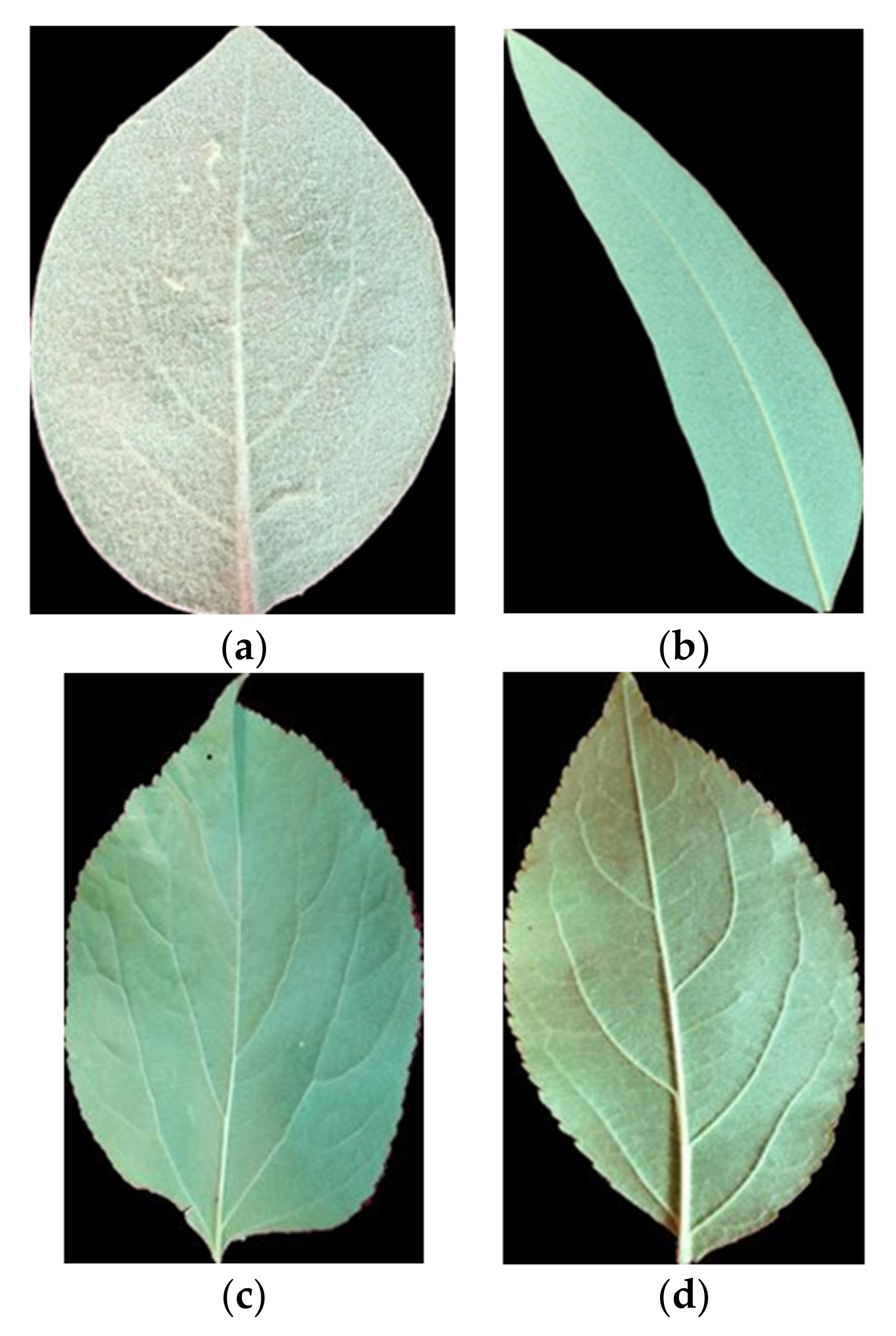 Computers 09 00006 g002a