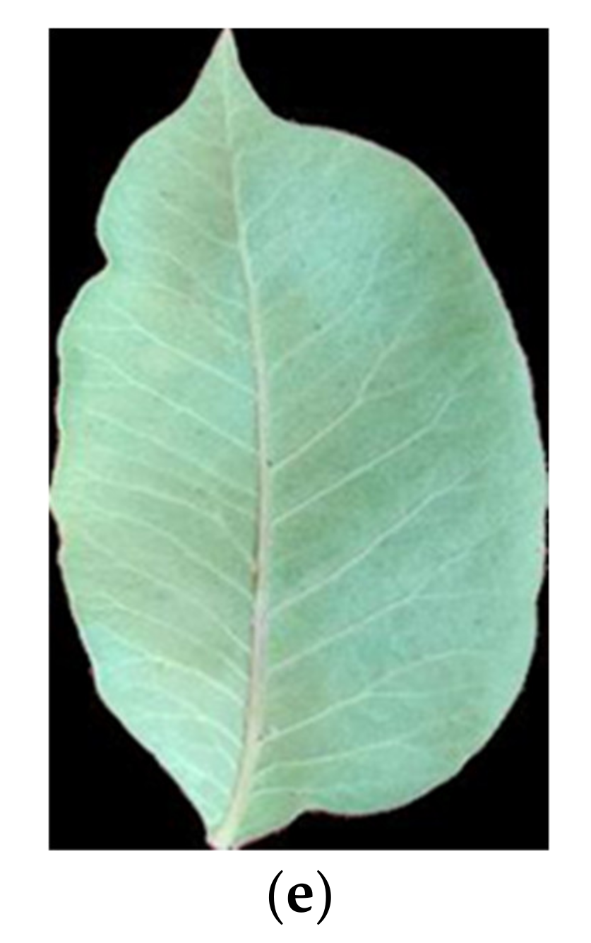 Computers 09 00006 g002b