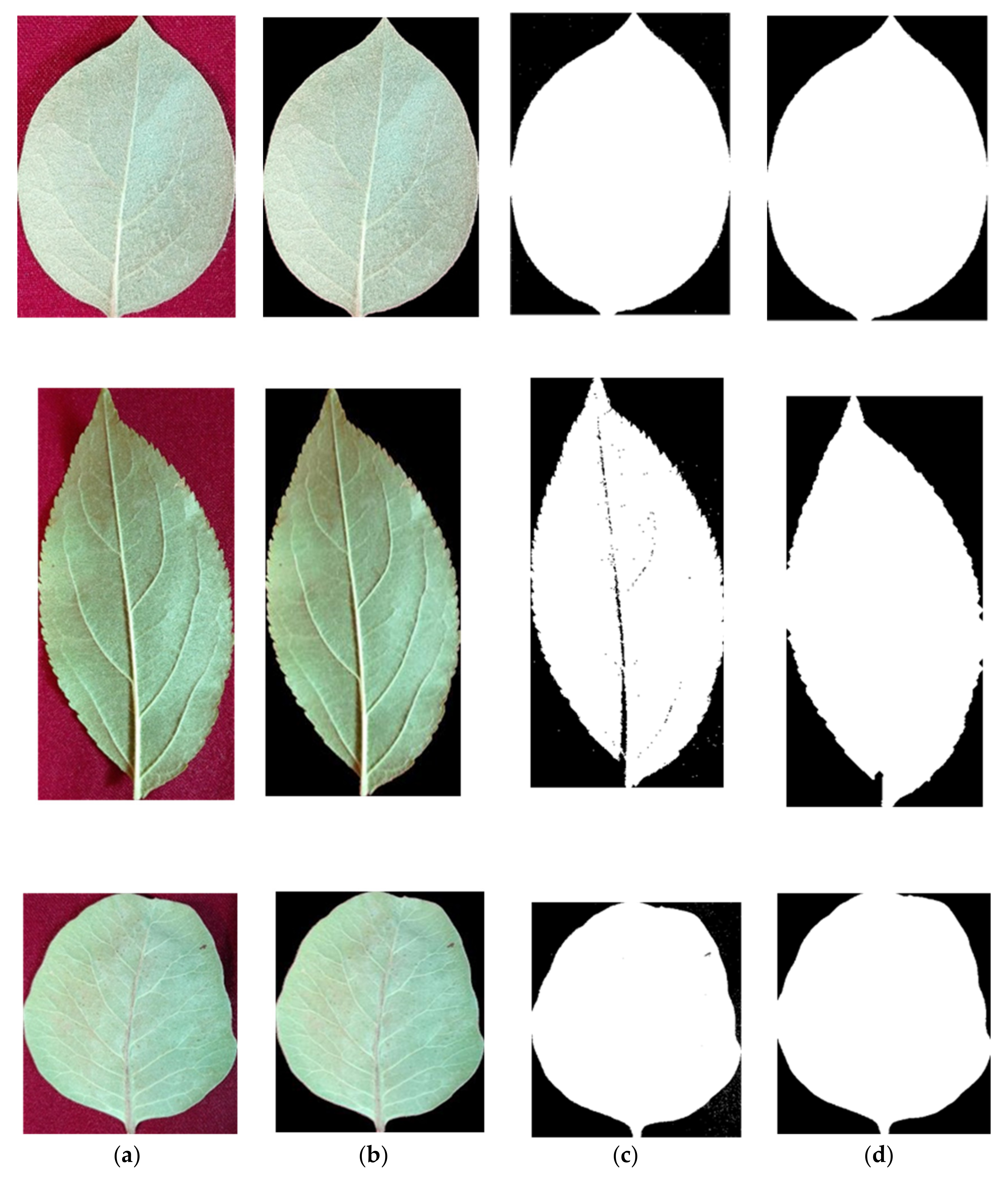 Computers 09 00006 g003