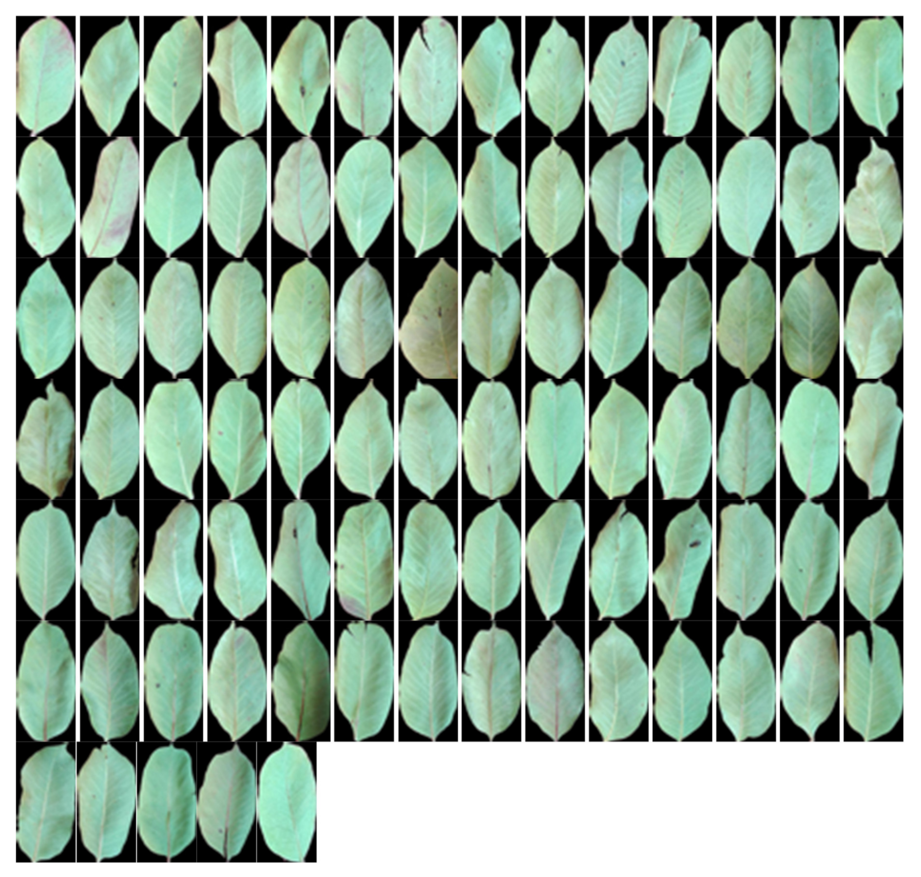 Computers 09 00006 g0a4