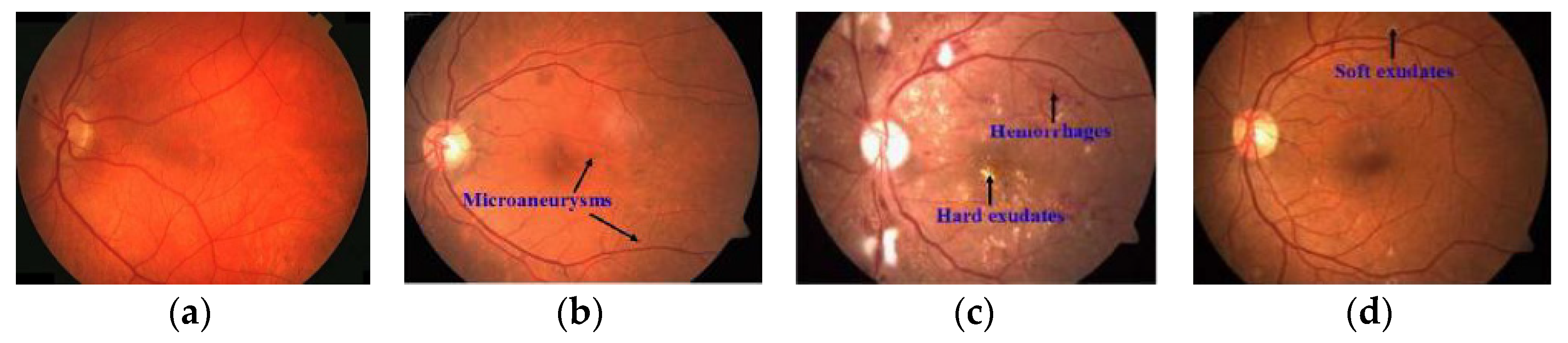 Computers 10 00030 g014 Computers 10 00030 g014