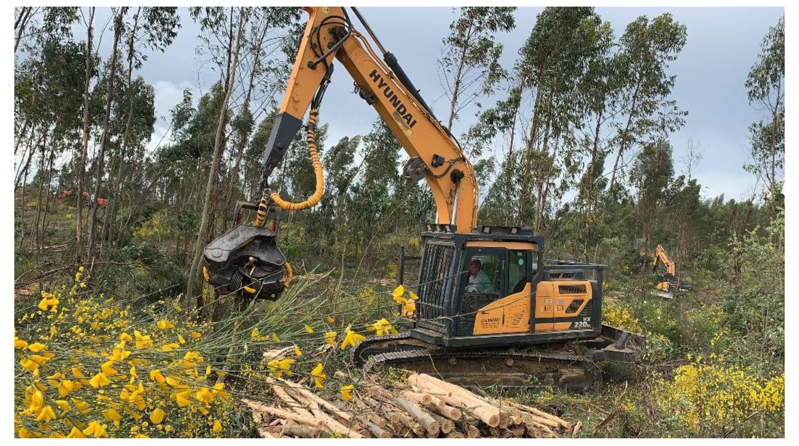 Computers 10 00144 g001 550