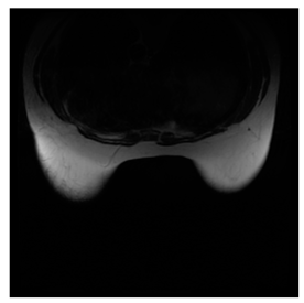 Computers 10 00152 i002