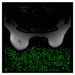 Computers 10 00152 i006