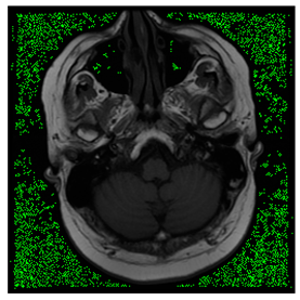 Computers 10 00152 i018