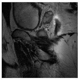 Computers 10 00152 i038