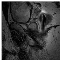 Computers 10 00152 i041