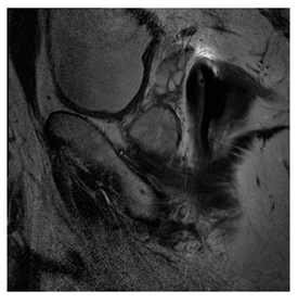 Computers 10 00152 i043