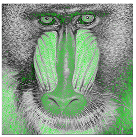 Computers 10 00152 i054