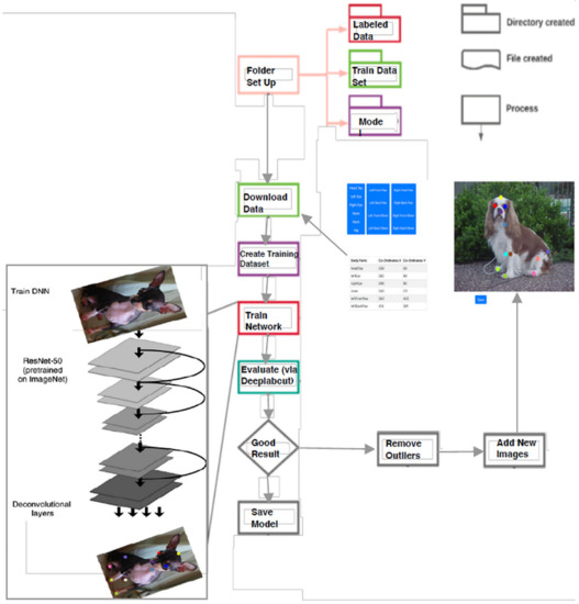 Improved 3D Markerless Mouse Pose Estimation Using Temporal Semi-supervision