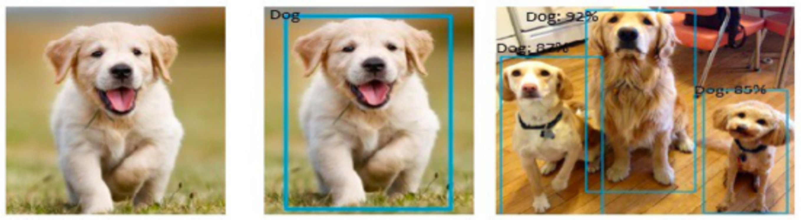 Computers | Free Full-Text | Markerless Dog Pose Recognition in the Wild Using ResNet Deep Learning Model Computers | Free Full-Text | Markerless Dog Pose Recognition in the Wild Using ResNet Deep Learning Model